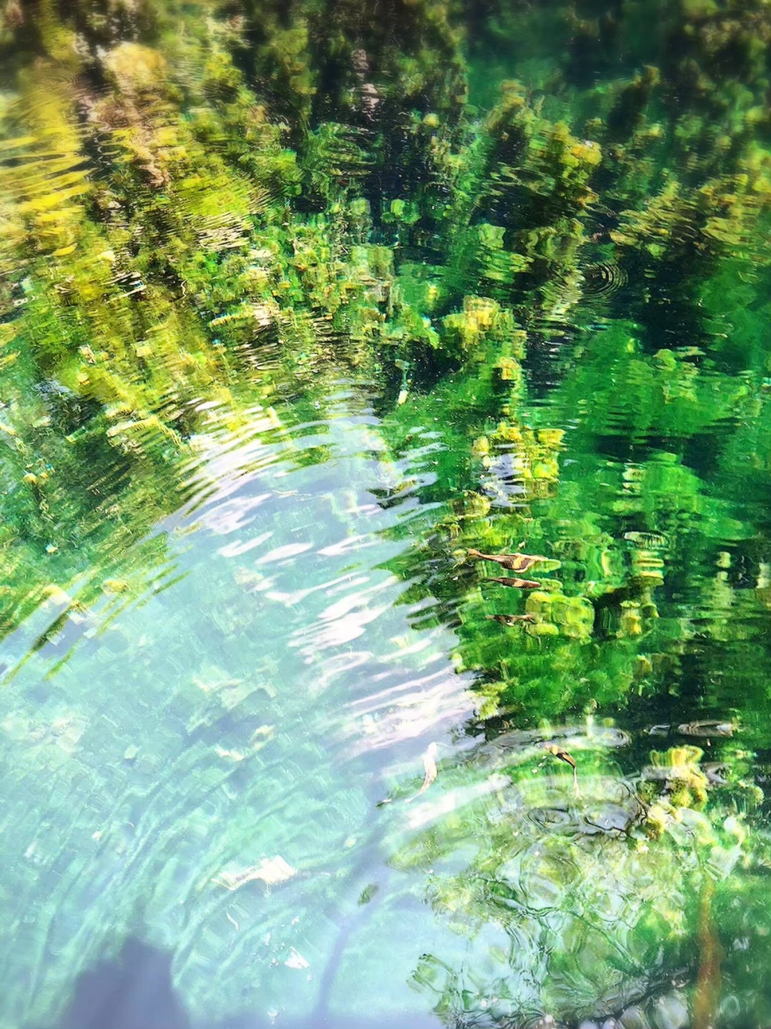 อันดับ 1 เที่ยวกระบี่ คลองหรูด คลองน้ำใส พายเรือคายัค ครึ่งวัน หนองทะเล อ่าวนาง กระบี่