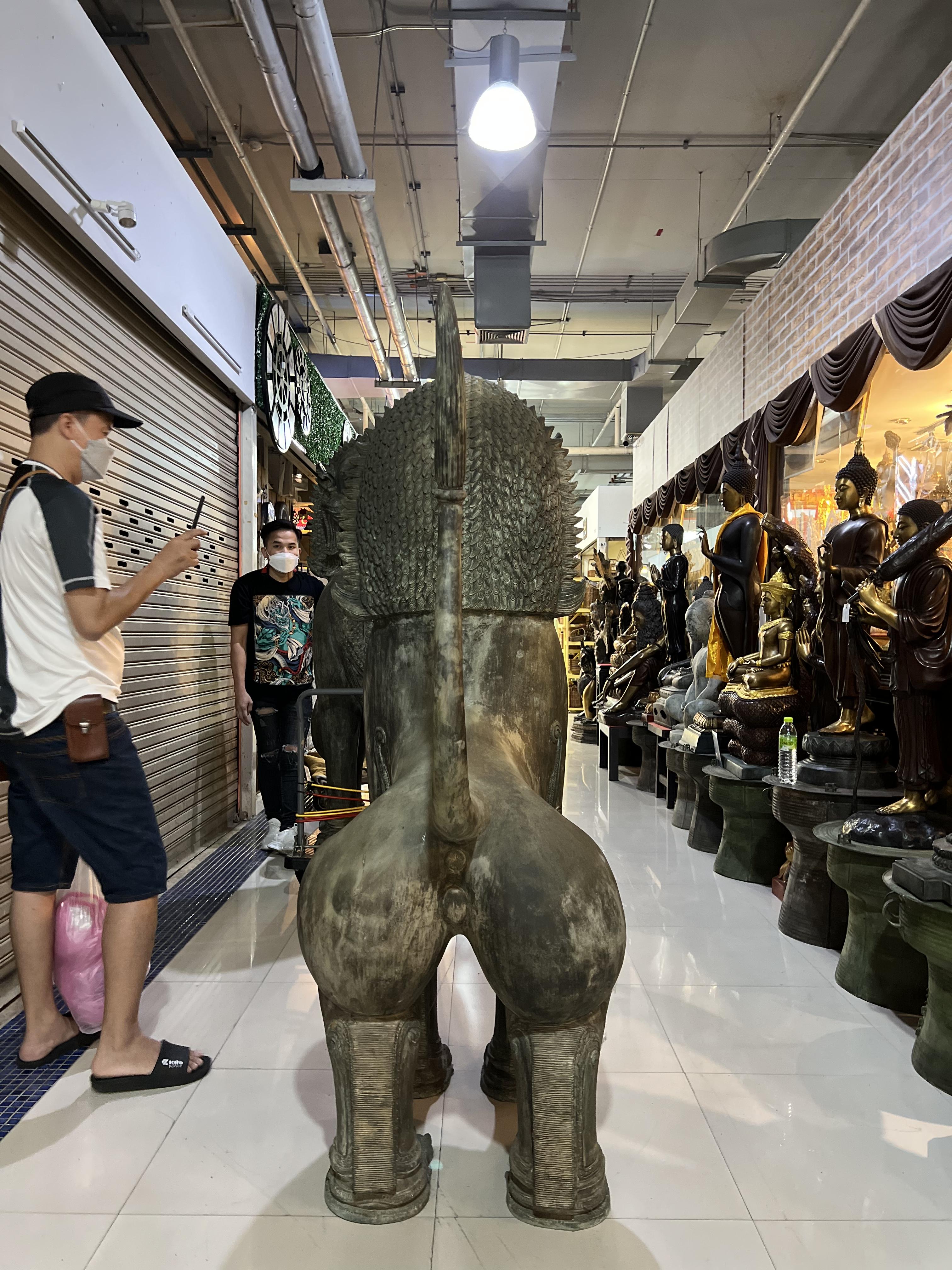 สิงโต (คู่) ขนาดใหญ่