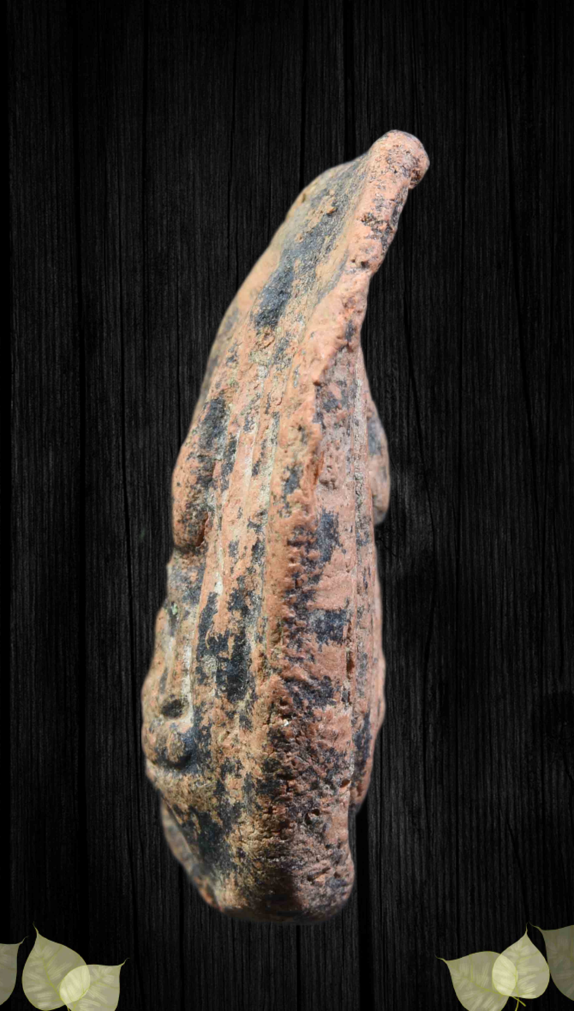 พระจุฬามณี หน้านาง-หลังนาง