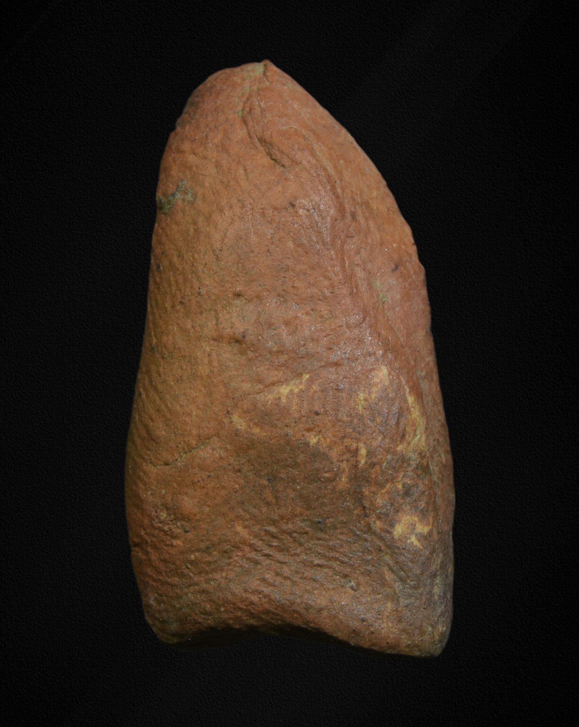 พระรอด วัดมหาวัน