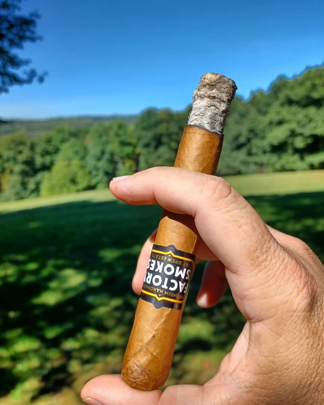 Factory Smoke Shade toro ("6x50")