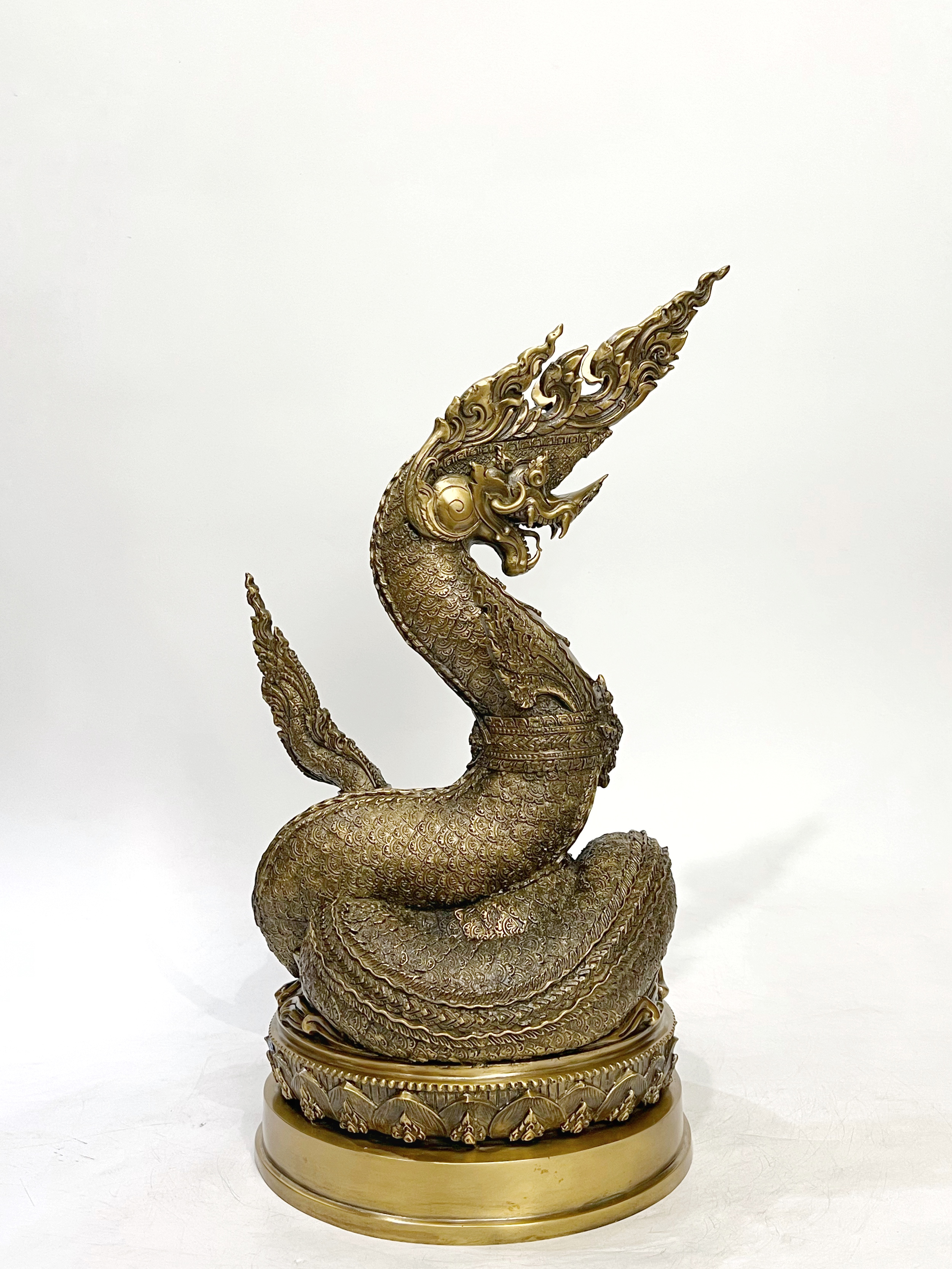 พญานาคราชทรัพย์อนันต์ พญานาค 1 เศียร