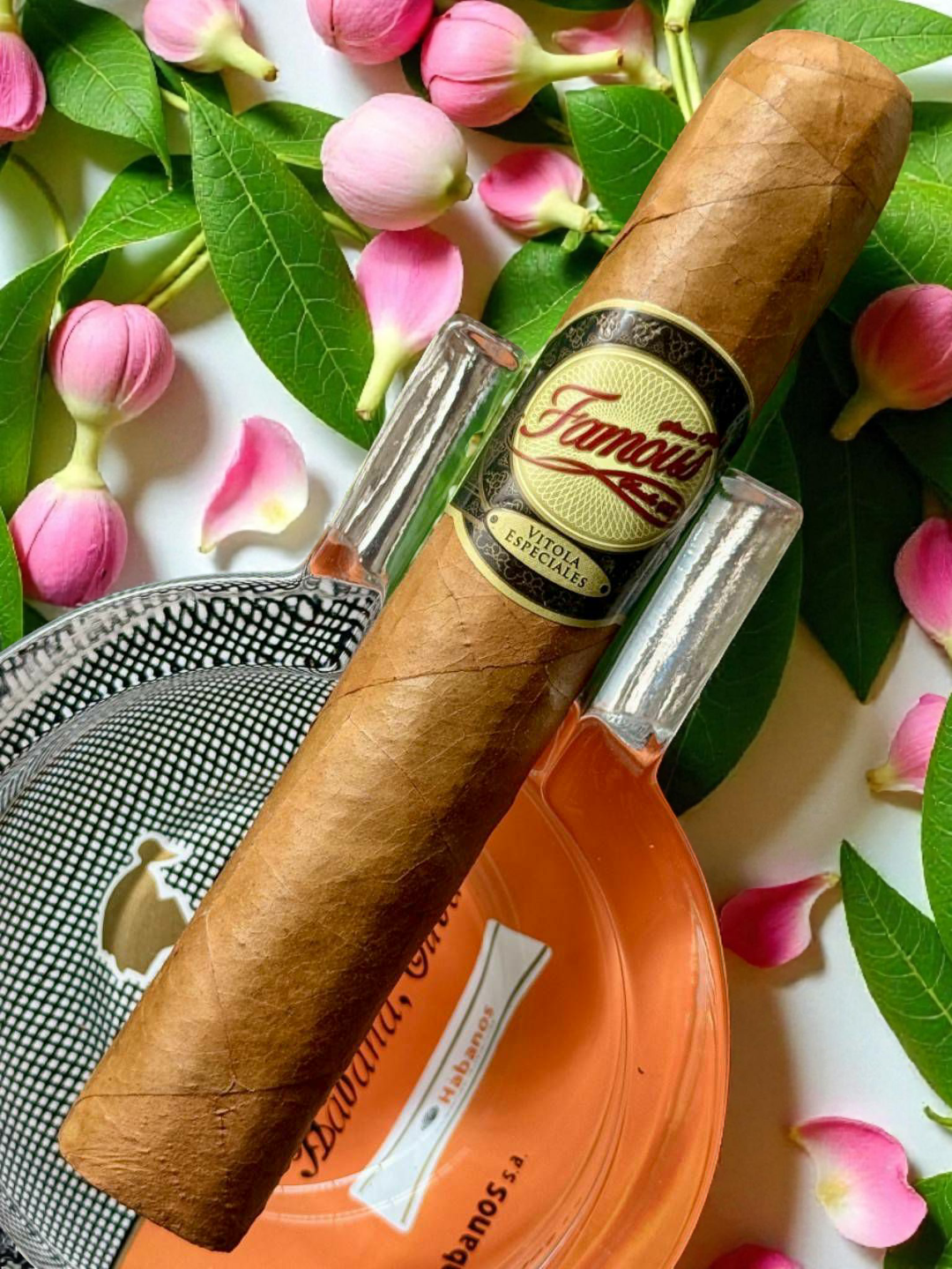 Famous Vitola Especial("5x50")นุ่ม+ถั่ว+ข้าวบาเล่