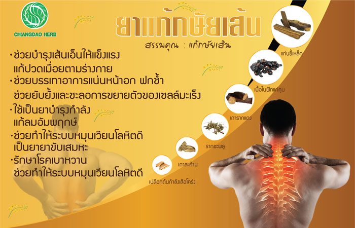 รับผลิตยากษัยเส้น