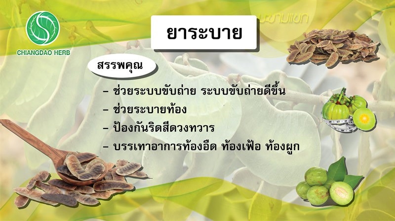 ขายส่งยาระบาย