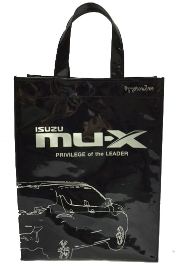 กระเป๋าเคียง