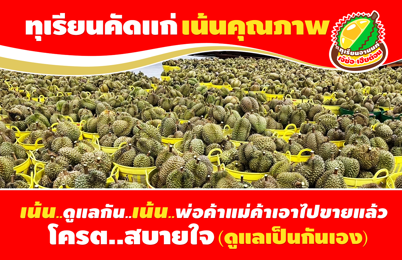 ขายส่งทุเรียนตลาดสี่มุมเมือง