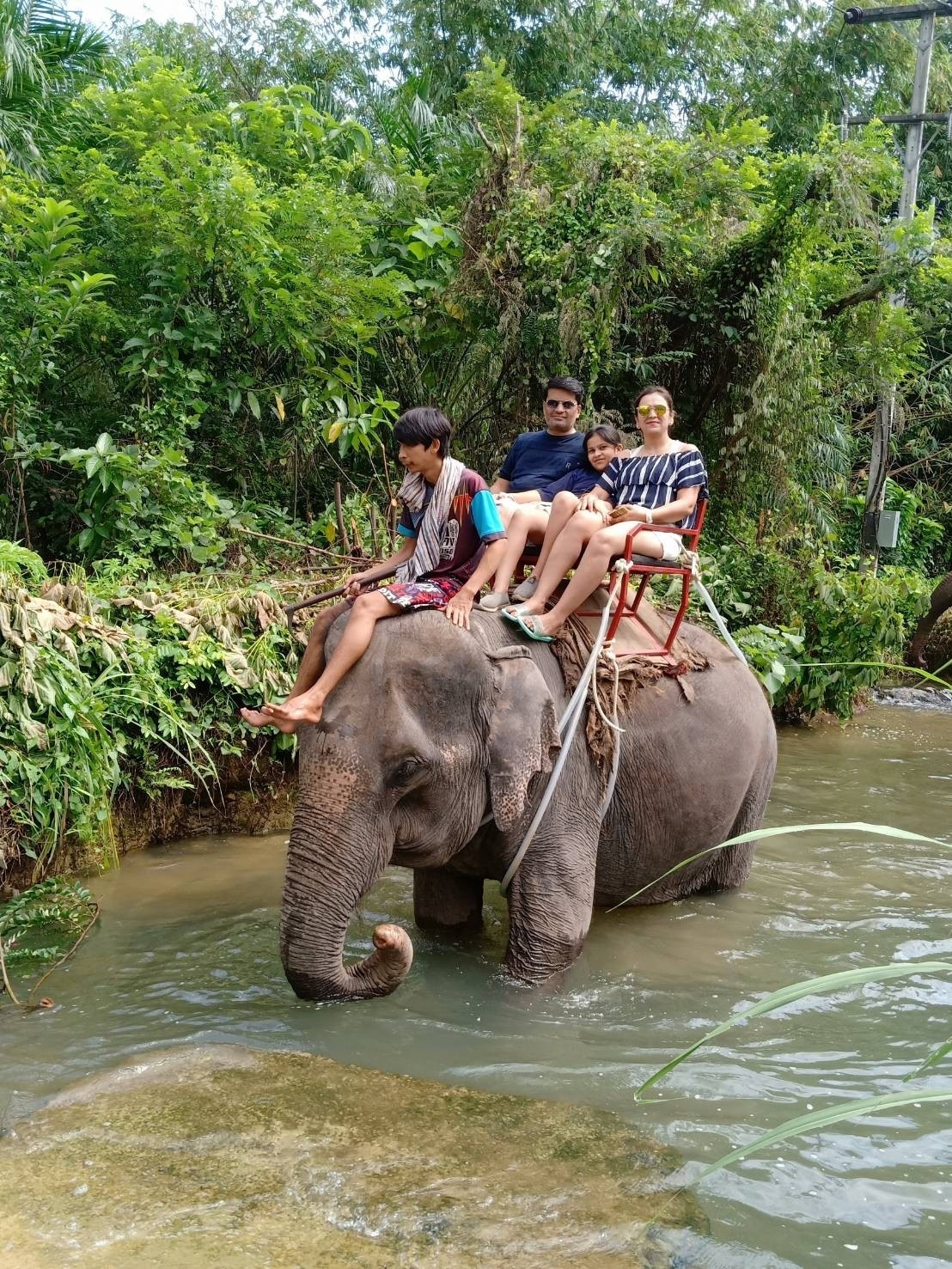 อันดับ 1 ทัวร์ขี่ช้าง กระบี่ ทัวร์นั่งช้างกระบี่