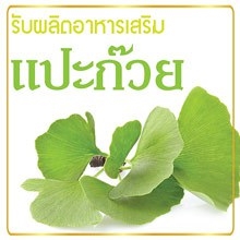รับผลิตแปะก๊วย