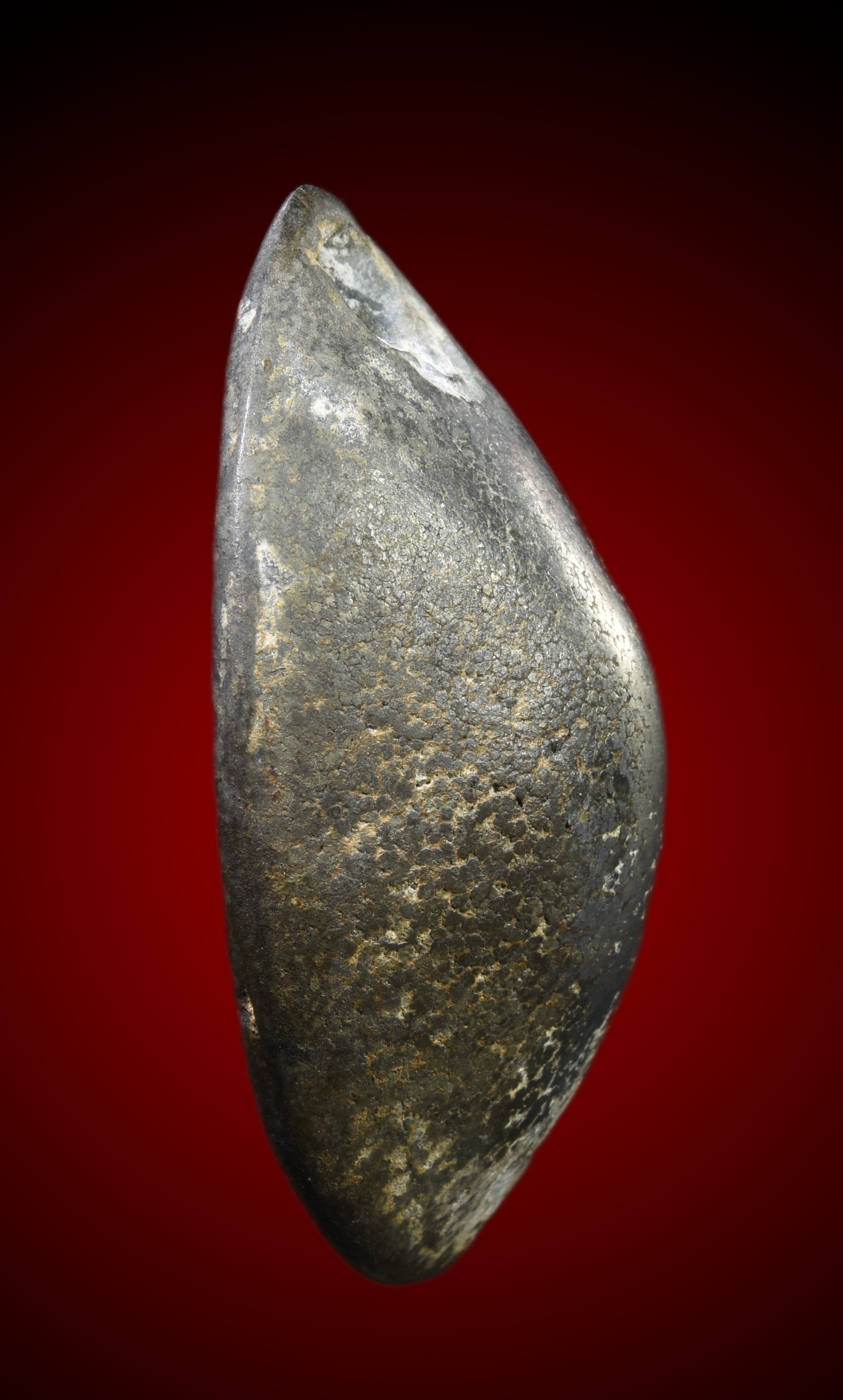 เบี้ยแก้ เนื้อตะกั่ว