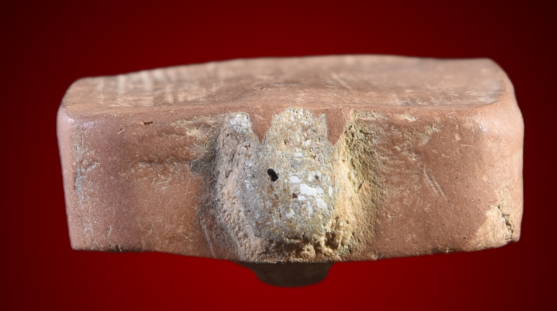 พระหลวงพ่อปาน พิมพ์ทรงไก่หางพวง