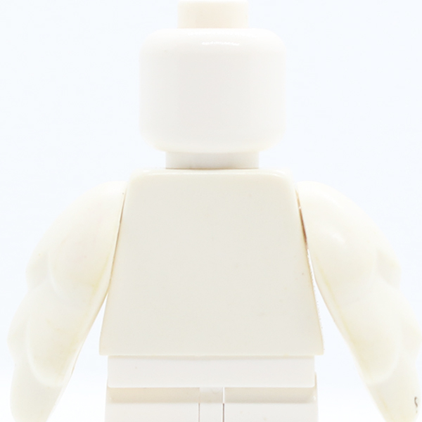 White Plain / White Bird Wings