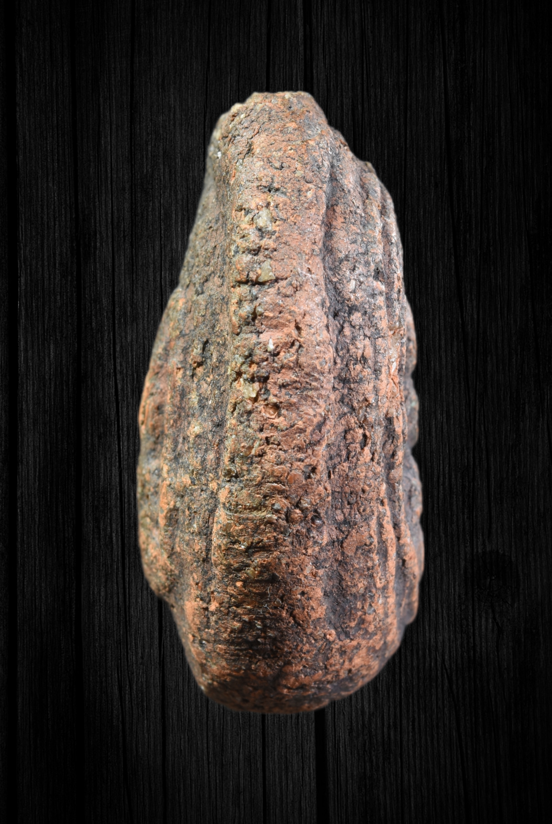 พระจุฬามณี หน้าฤๅษี-หลังนาง