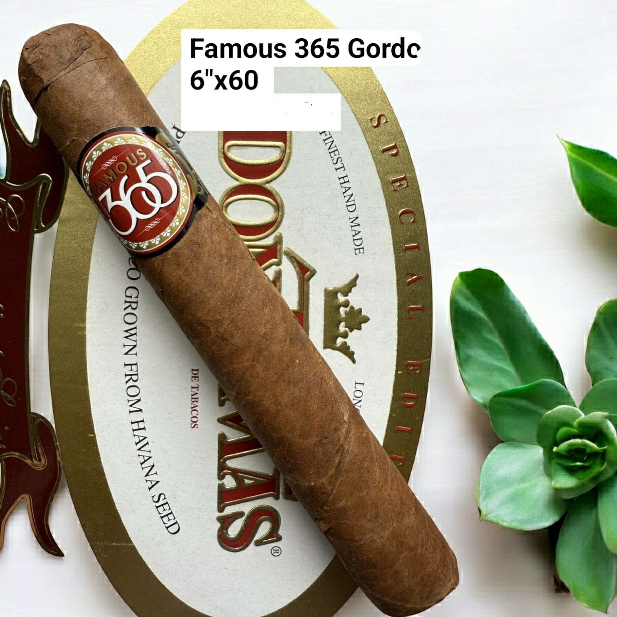 365 cigar "6x60"