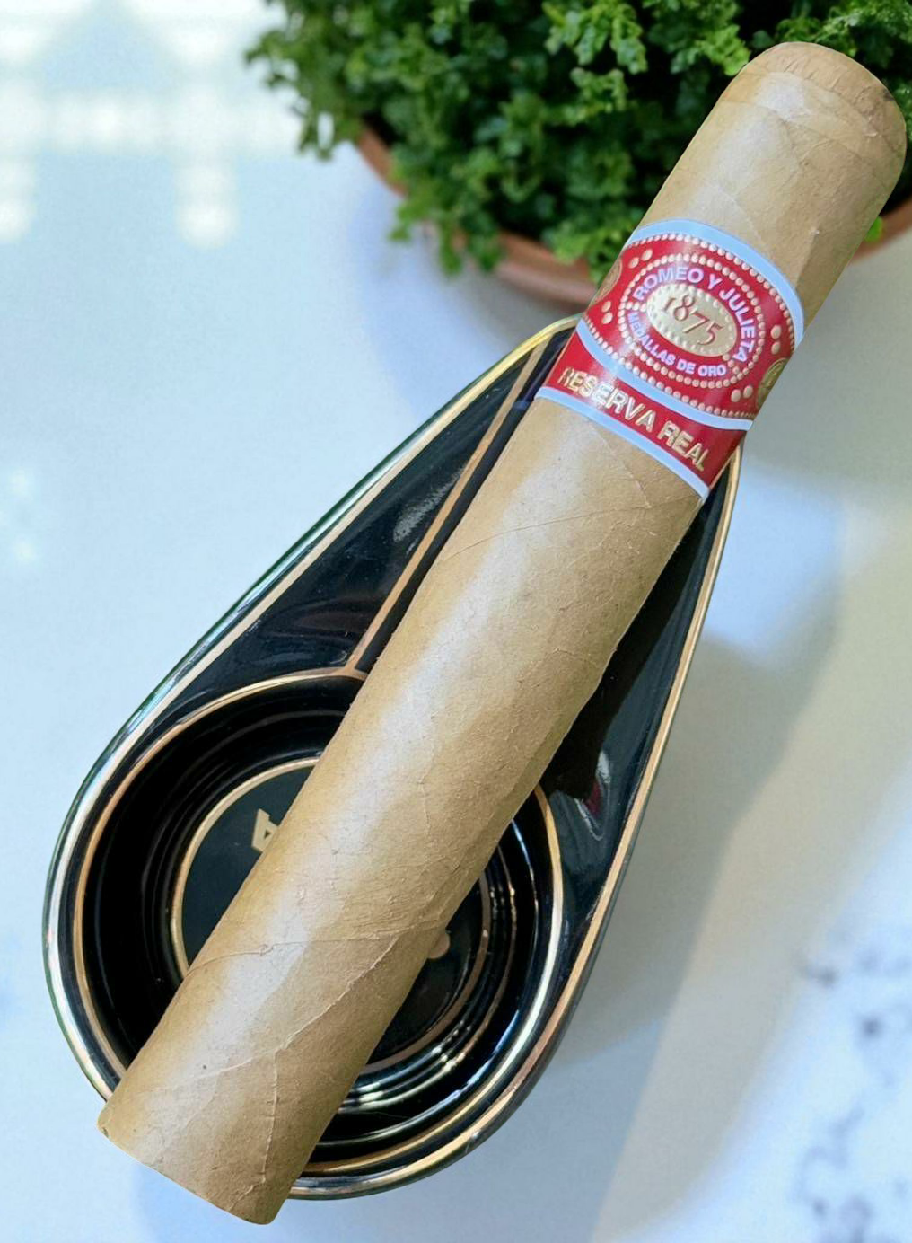 Romeo Y Julieta Reserva Real Magnum "6x60"
