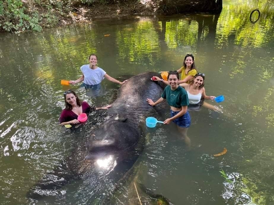 อันดับ 1 ทัวร์ขี่ช้าง กระบี่ ทัวร์นั่งช้างกระบี่