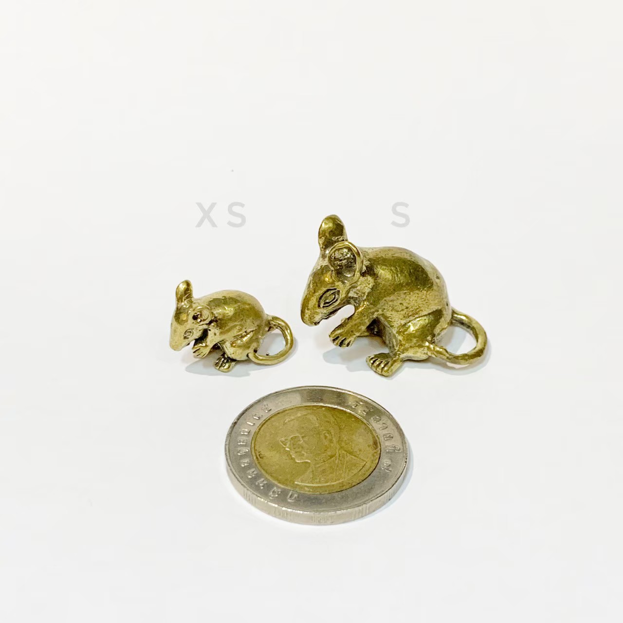 หนูมุสิกะ XS (ราคาต่อหนึ่งตัว)