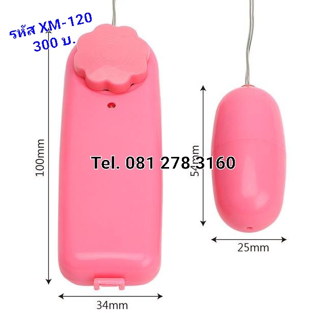 รหัส XM-120 ไข่สั่นหัวเดียว