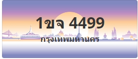 ป้ายประมูล 1ขจ 4499