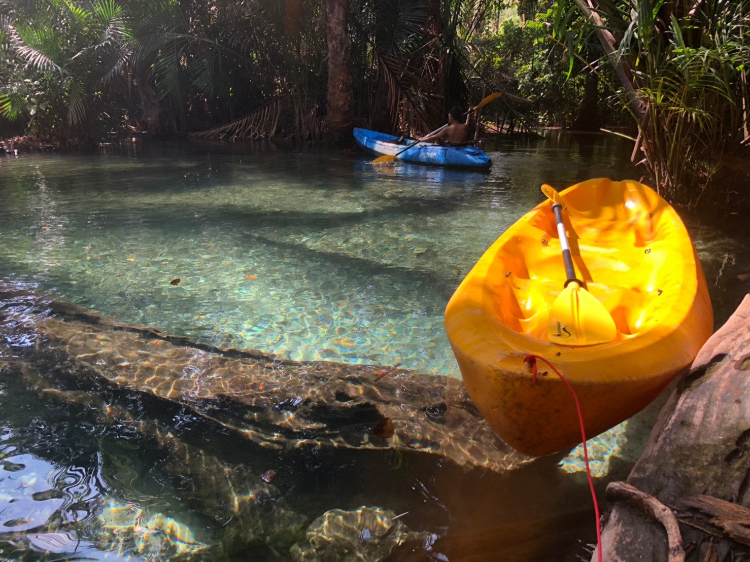 อันดับ 1 เที่ยวกระบี่ พายเรือคายัค คลองน้ำใส ขับ ATV เต็มวัน