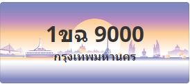 ป้ายประมูล 1ขฉ 9000