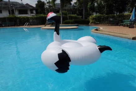 ห่วงยางนกกระเรียน คอดำ Inflatable Black Neck Cran Float