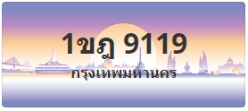 ป้ายประมูล 1ขฎ 9119