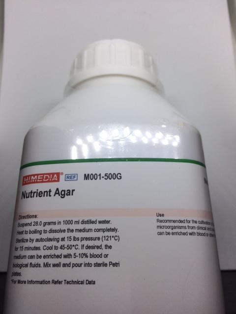NUTRIENT AGAR
