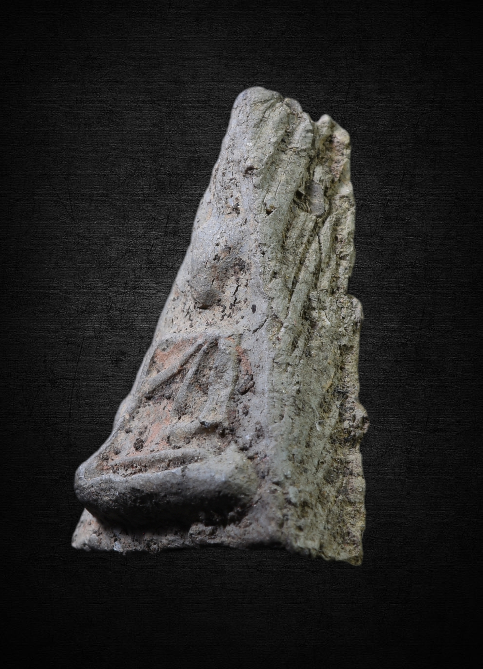 พระนางพญา กรุโรงทอ