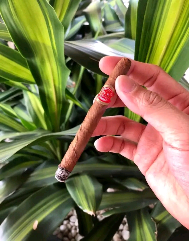 Partagas chicos(คิวบา) 5มวน