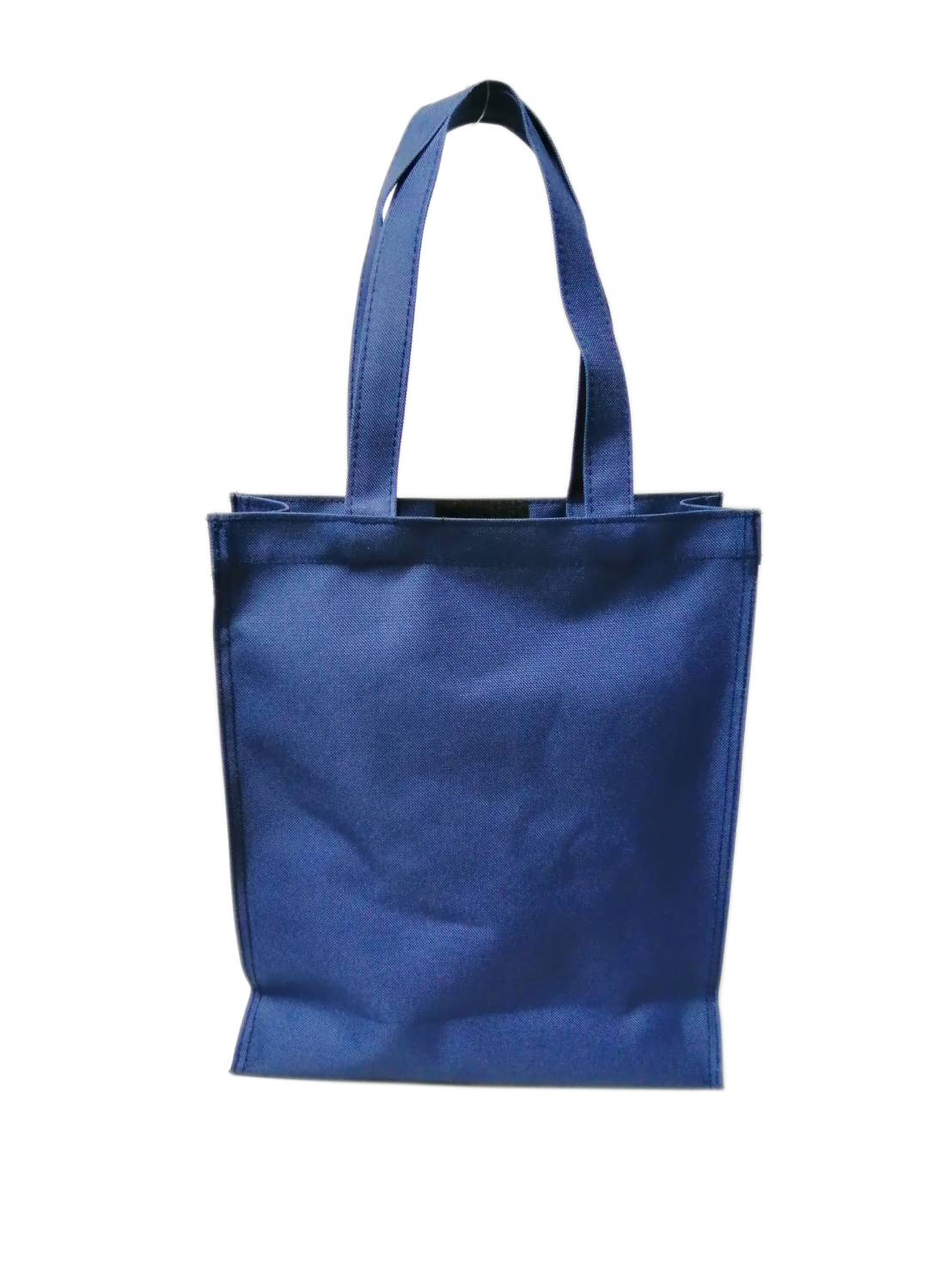 กระเป๋าเคียง