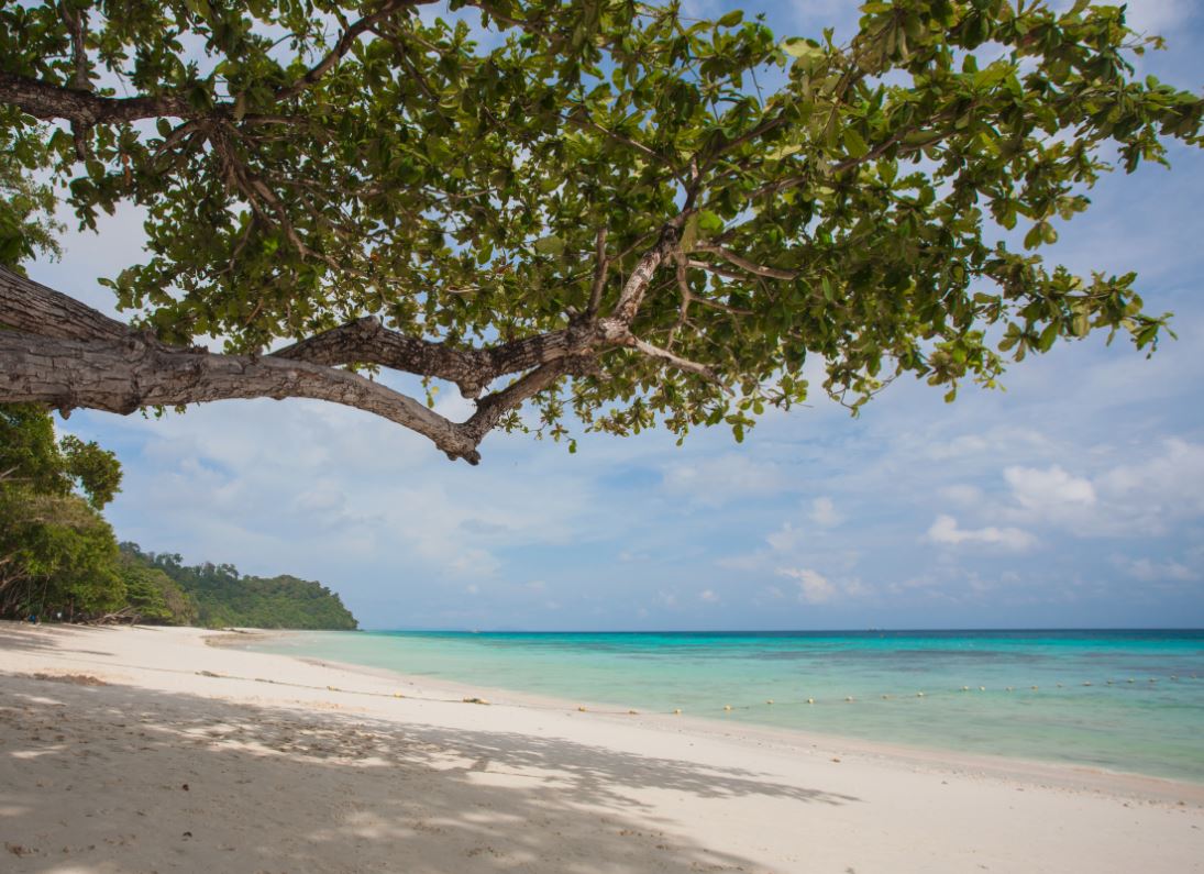 อันดับ 1 เที่ยวกระบี่ เกาะรอก เกาะห้า