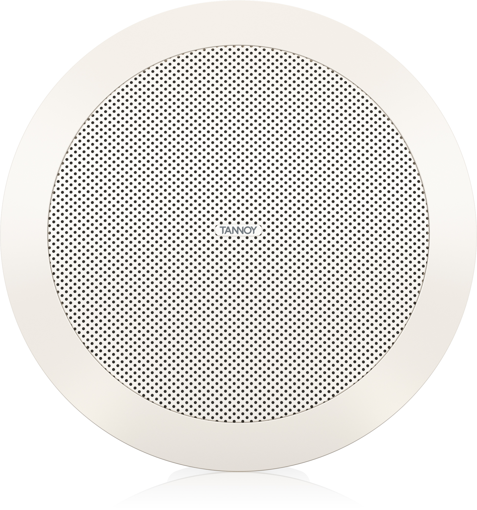 TANNOY CVS 301