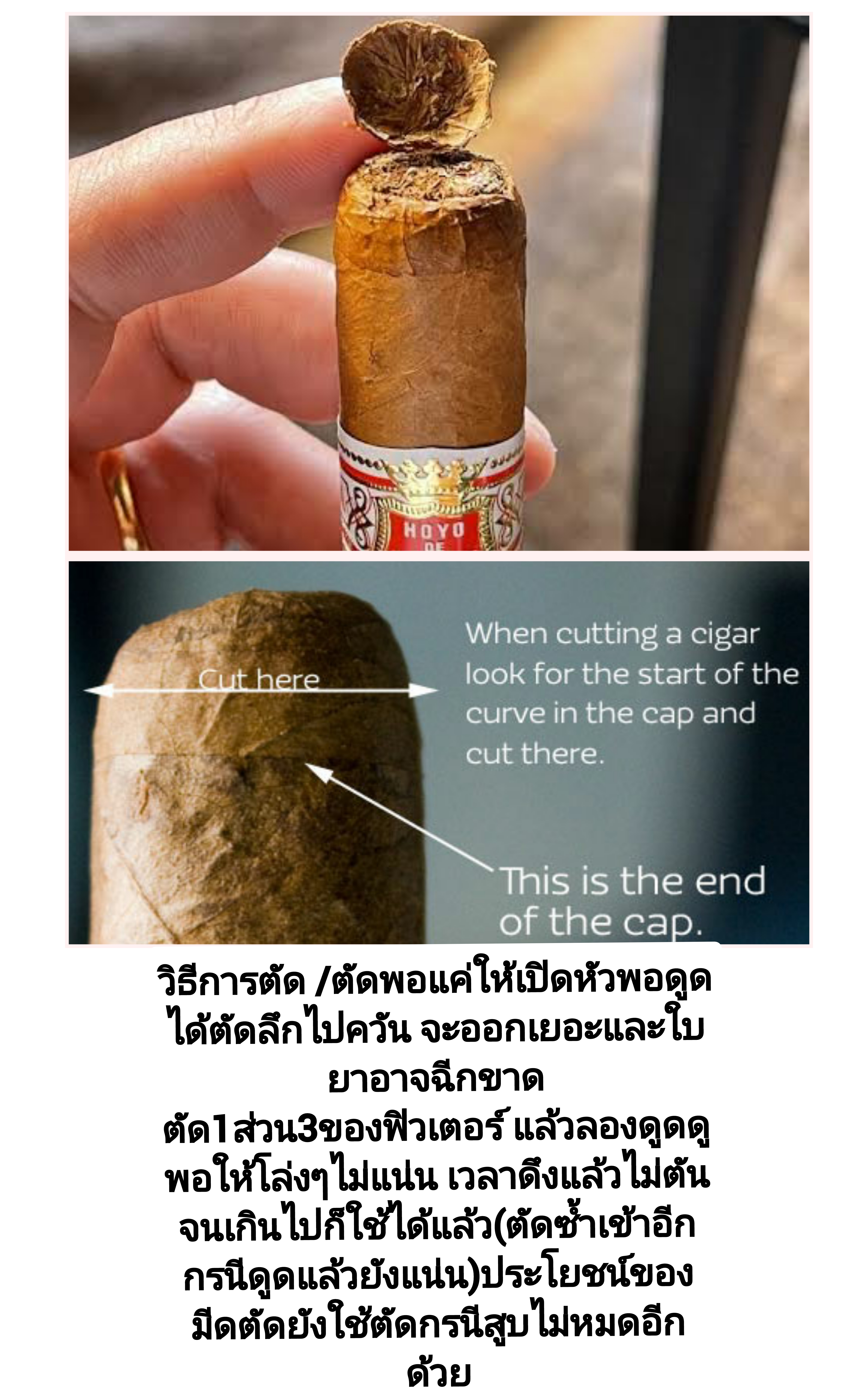 สอนตัด+สอนสูบ ซิการ์