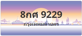 ป้ายประมูล 8กศ 9229
