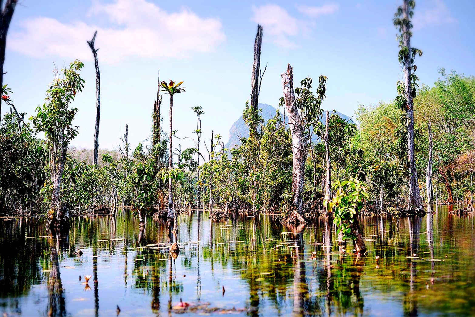 อันดับ 1 เที่ยวกระบี่ พายเรือคายัค คลองน้ำใส ขับ ATV เต็มวัน