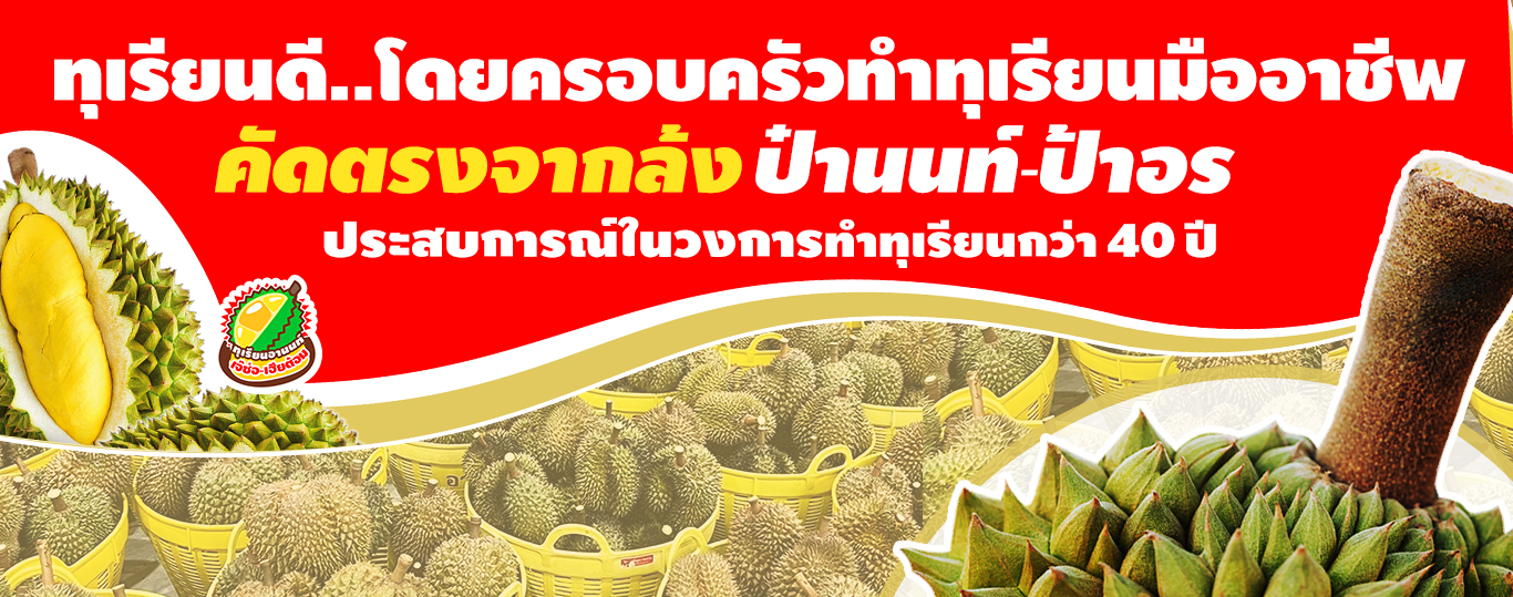 ขายส่งทุเรียนคุณภาพ