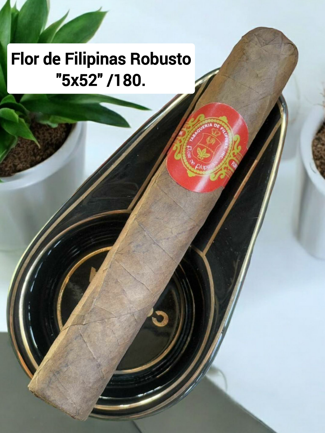 Flor de Filipinas robusto "5x50"