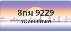 ป้ายประมูล 8กม 9229