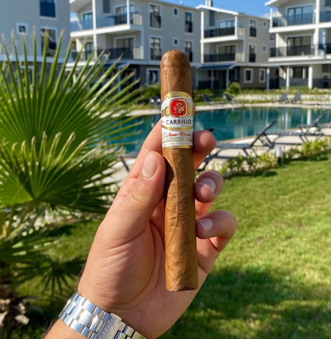 E.P. Carrillo New Wave Connecticut "6x52"
