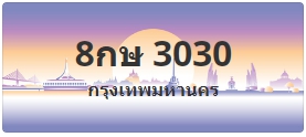 ป้ายประมูล 8กษ 3030