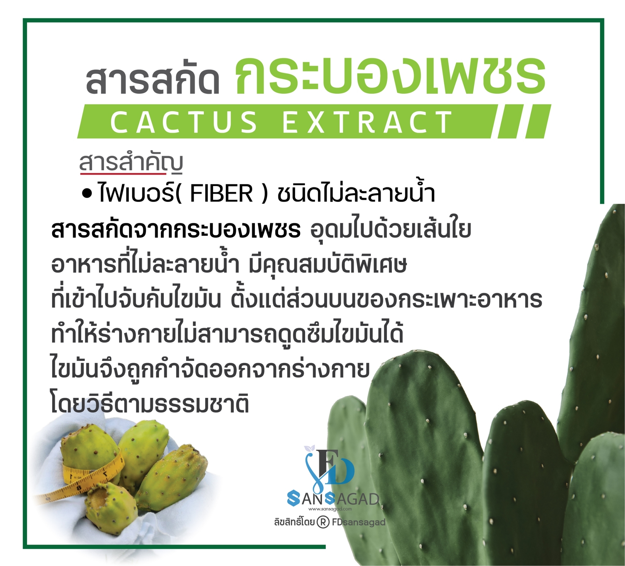 รับผลิตอาหารเสริมช่วยระบบขับถ่าย