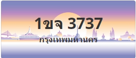 ป้ายประมูล 1ขจ 3737