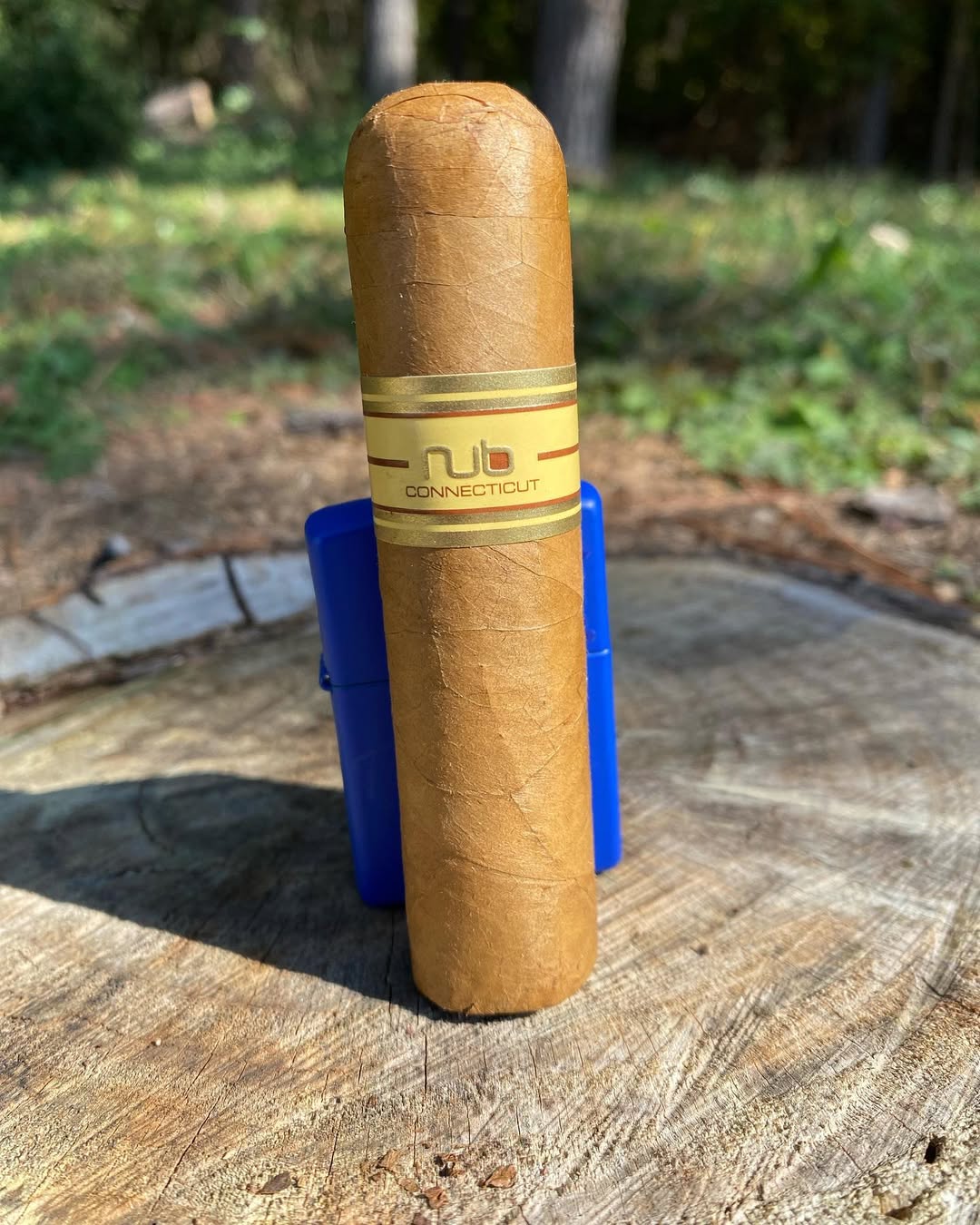 NUb Connecticut