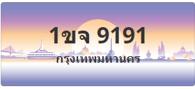 ป้ายประมูล 1ขจ 9191