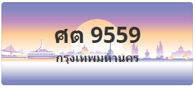 ป้ายประมูล ศต 9559