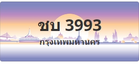 ป้ายประมูล ชบ 3993