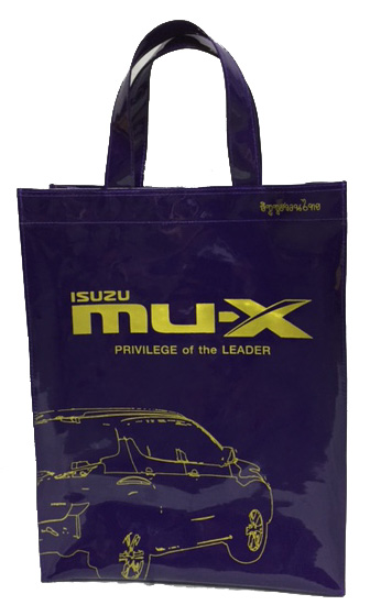 กระเป๋าเคียง