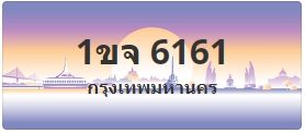 ป้ายประมูล 1ขจ 6161