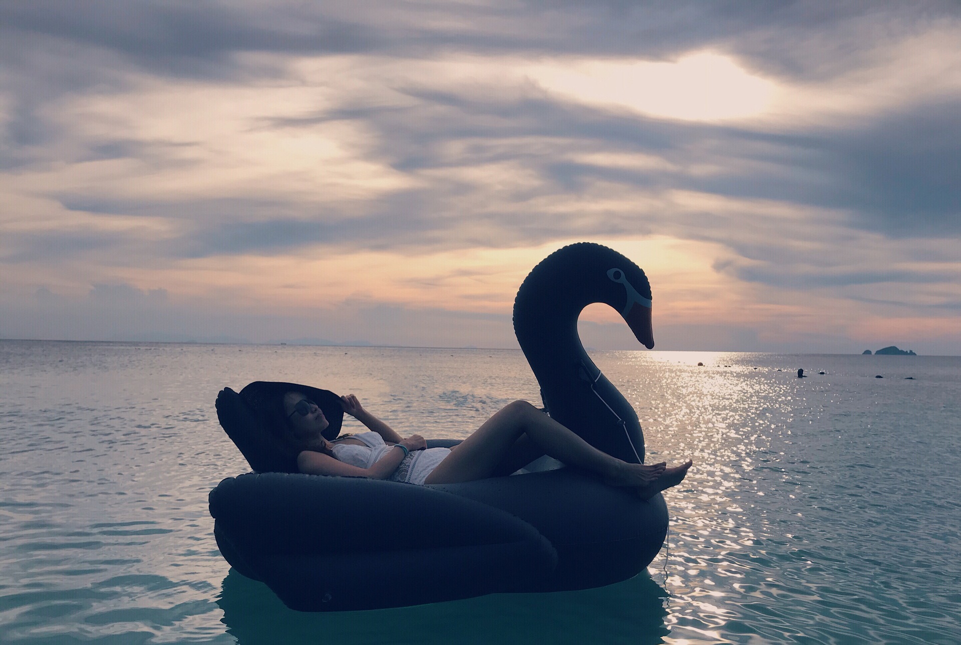 ห่วงยางแฟนซีหงษ์ Black swan